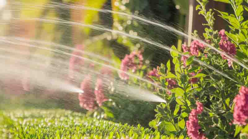 Sprinkler Maintenance Plans